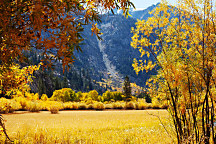 Obraz Babie leto zs1157